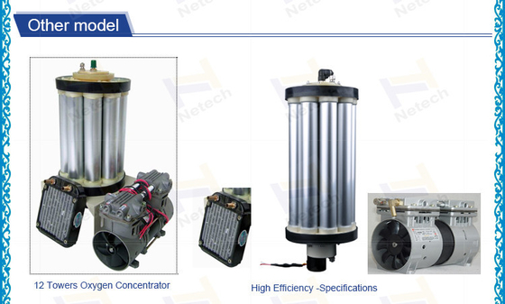 PSA Zuurstofgenerator 0.1 Mpa met Moleculaire Zeef 12 en Luchtcompressor